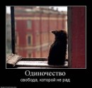 Андрій Величко фотография #37 (источник - https://vk.com/id82751665)