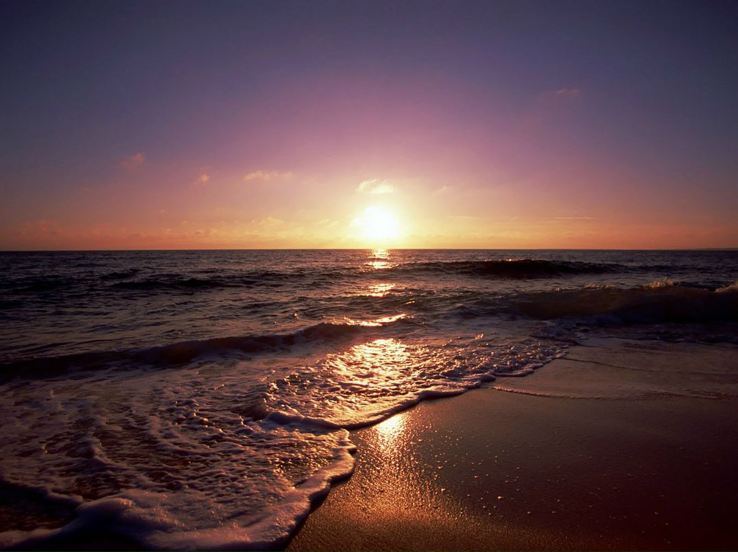 Дмитрий Тушин фотография #36