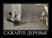  фотография #16