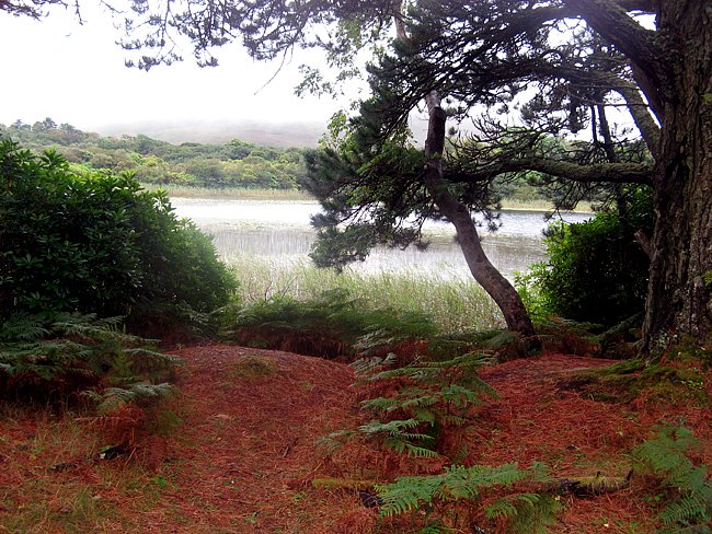 Оля Леля фотография #28