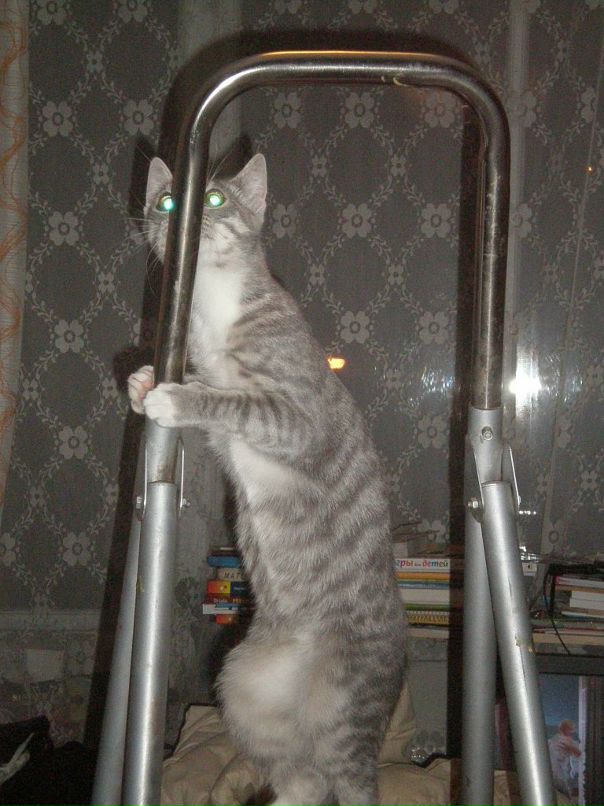 Эва Лаас фотография #13