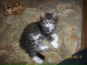 Андрей Поляков фотография #25 (источник - https://vk.com/id2800546)