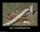 Сергій Водоп'янов фотография #8 (источник - https://vk.com/id14034638)