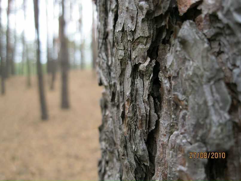 Илья Хатаб фотография #43