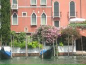 Яркий Мир фотография #7 (источник - https://vk.com/id83056)