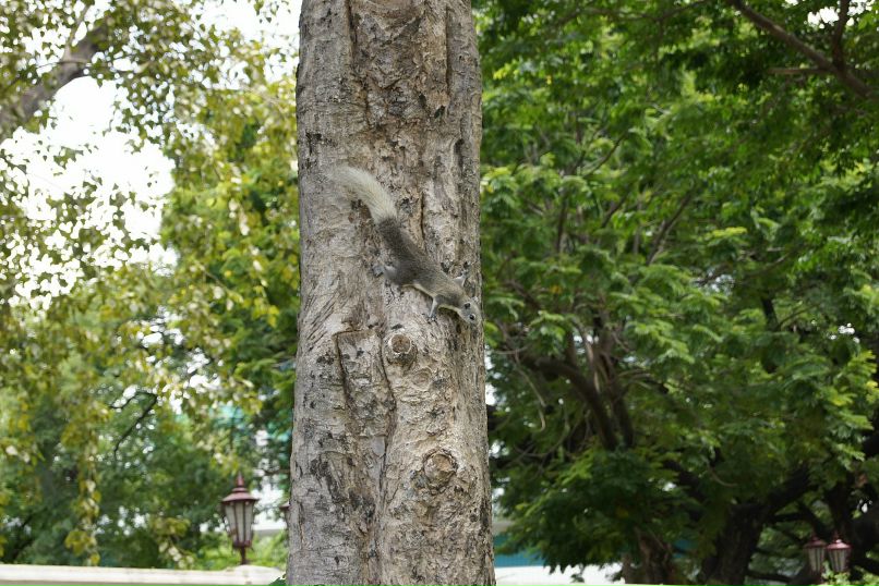 Иван Пешков фотография #43