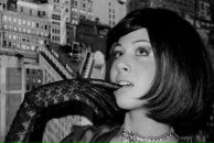 Фотография Мушер Наташи