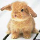 Фотография Александровой Александры