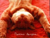 Леонид Никитенко фотография #9 (источник - https://vk.com/id143280)