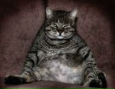 Фотография Владимировича Никиты