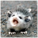 Фотография Кадетской Елены