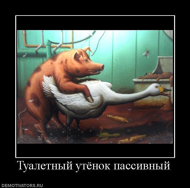 Иван Пташник фотография #17