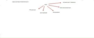 Сергій Козак фотография #29 (источник - https://vk.com/id57786716)