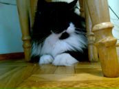 Алінка Дашкевич фотография #17 (источник - https://vk.com/id19480351)