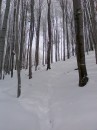 Вася Сірий фотография #17 (источник - https://vk.com/id70227408)