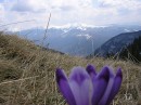 Міша Юріна фотография #7 (источник - https://vk.com/id70576909)