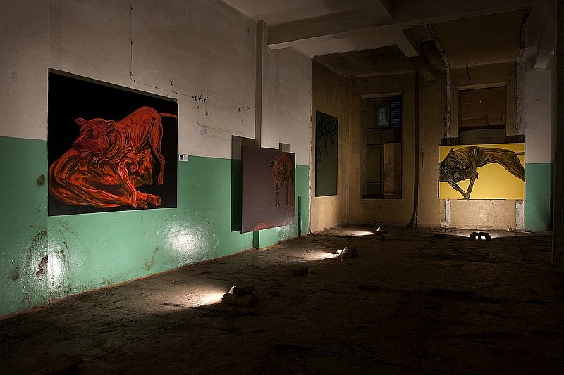 Лейли Асланова фотография #44