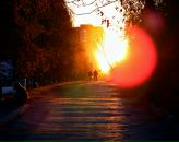 Фотография Школьниковой Тони