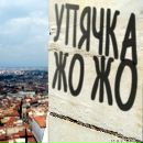 Настя Петрова фотография #1