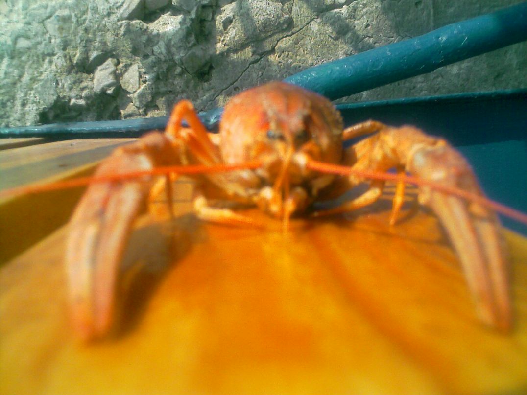 Марк Кулаков фотография #37