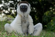 Фотография Выручаевой Татьяны