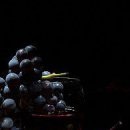 Наталя Бідник фотография #36 (источник - https://vk.com/id151677433)