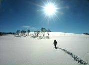 Фотография Гильманова Виля