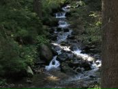 Іра Мельник фотография #16 (источник - https://vk.com/id91892928)