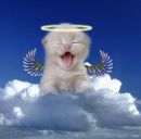 Андрій Потерейко фотография #49 (источник - https://vk.com/id117169698)