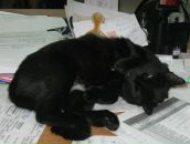 Фотография Кочетковой Елены