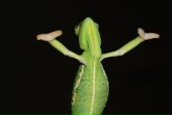 Віктор Якубовський фотография #26 (источник - https://vk.com/id8578390)