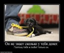 Ігор Петриця фотография #44 (источник - https://vk.com/id7978946)