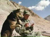 Фотография Затонского Олега