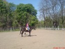 Вікторія Орос фотография #24 (источник - https://vk.com/id14299887)