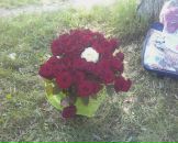 Tanja Пасічняк фотография #4 (источник - https://vk.com/id65114923)