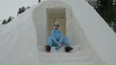 Фотография Синицыной Дарьи