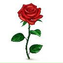 Катя Ярасимів фотография #4 (источник - https://vk.com/id78781632)