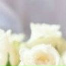 Іра Маркітан фотография #9 (источник - https://vk.com/id132880264)