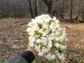 Міша Мельникович фотография #9 (источник - https://vk.com/id134097619)