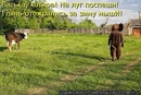 Ірина Васенько фотография #19 (источник - https://vk.com/id159425006)