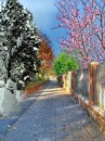 Ігор Шутурма фотография #32 (источник - https://vk.com/id74341893)