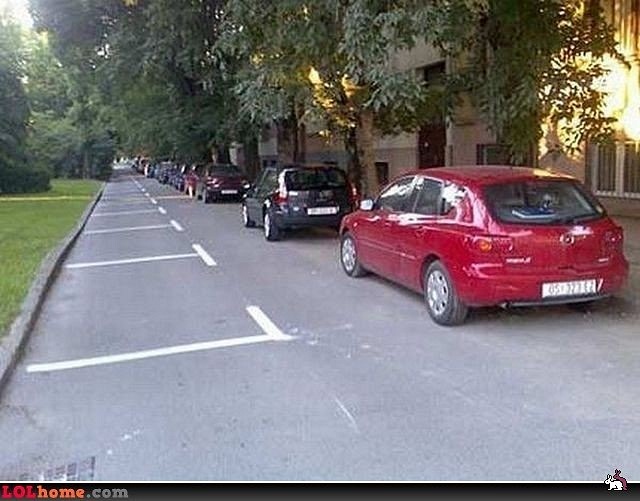 Дмитрий Клименко фотография #48