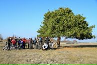 Серёжа Райский фотография #26 (источник - https://vk.com/id897554)