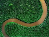 Фотография Ференса Владислава