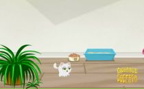 Іра Коваль фотография #8 (источник - https://vk.com/id89254281)