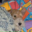 Фотография Бурковой-Молошниковой Ларисы