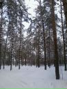Дмитрий Шаров фотография #15 (источник - https://vk.com/id3186760)