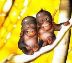 Фотография Константинова Вовы