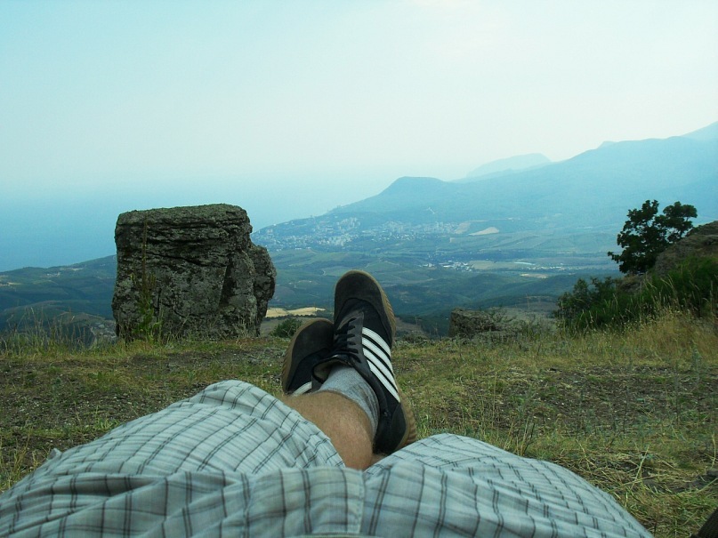 Phasma Morulus фотография #36