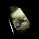 Фотография Беловой Оксаны